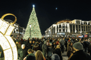 Tree Holiday